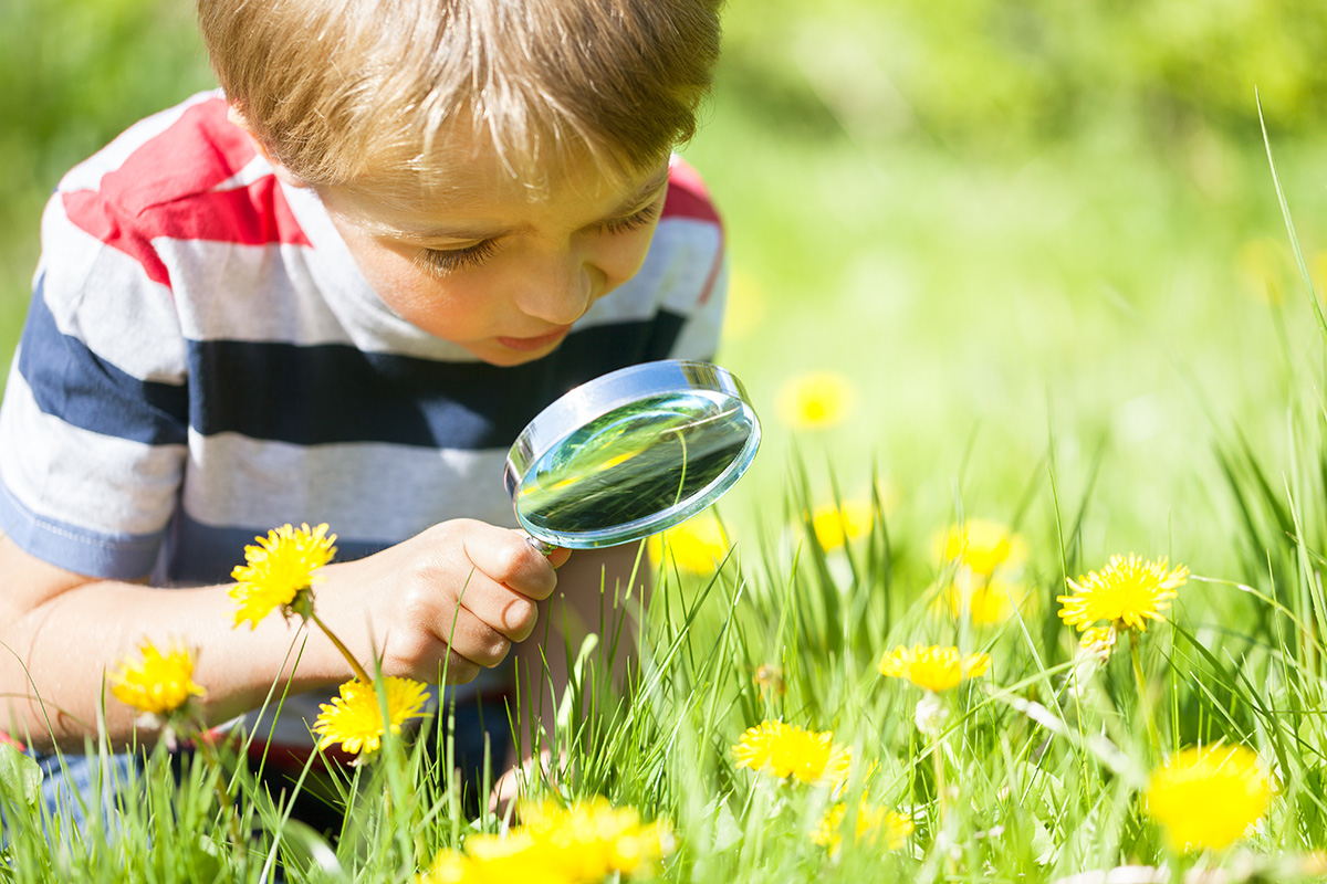 Kind erforscht die Natur