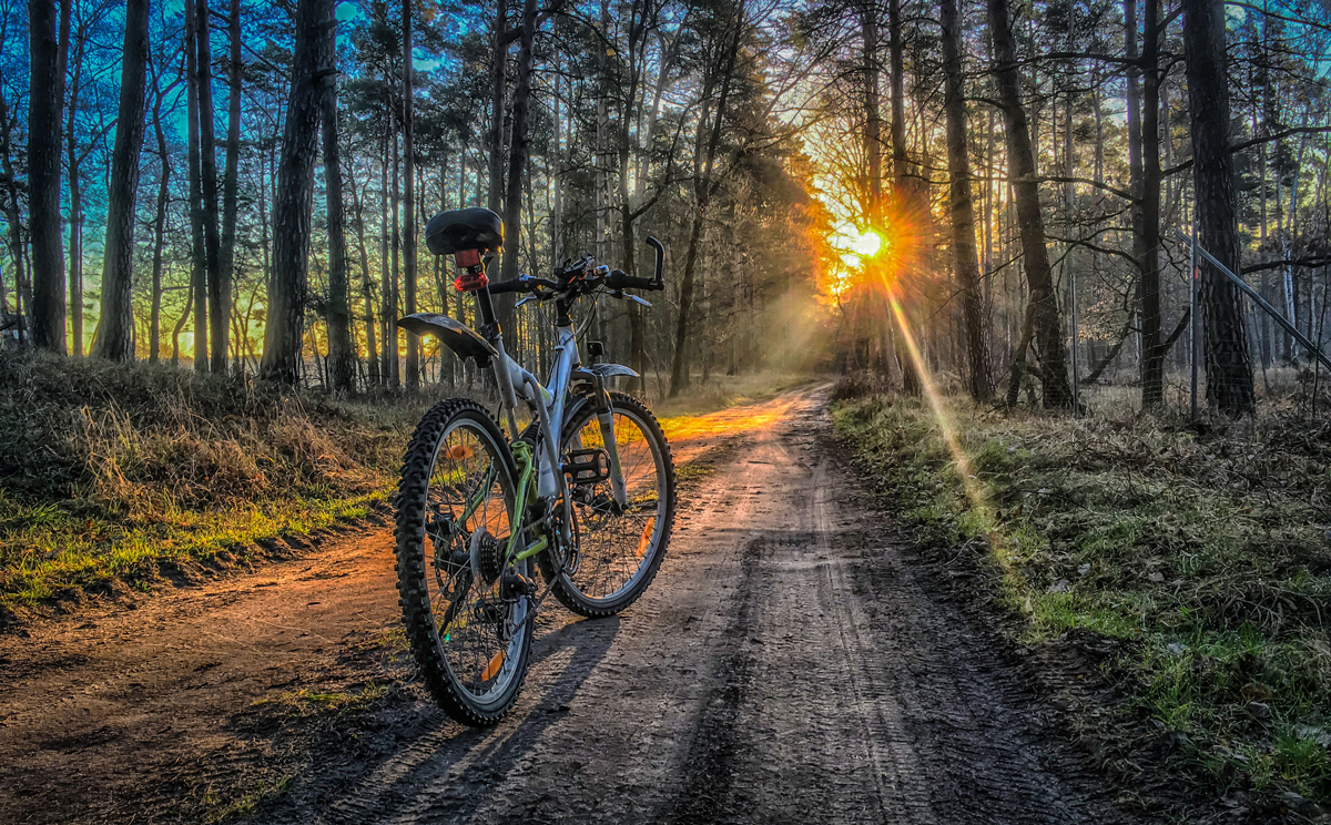 Fahrradweg Waldweg