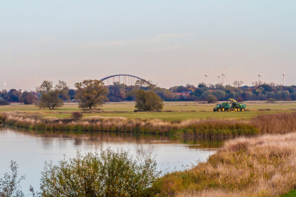 Elbwiese und Elbbrücke, auf der Wiese fähtr ein Traktor und erntet ab