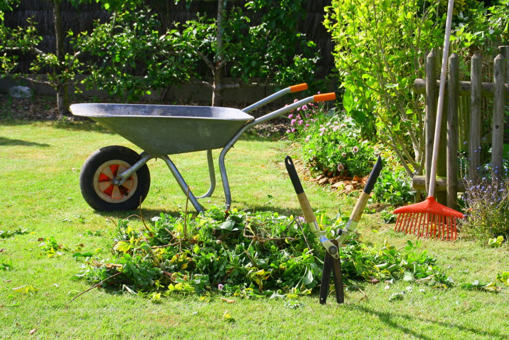 Schubkarre mit Grünabfällen im Garten