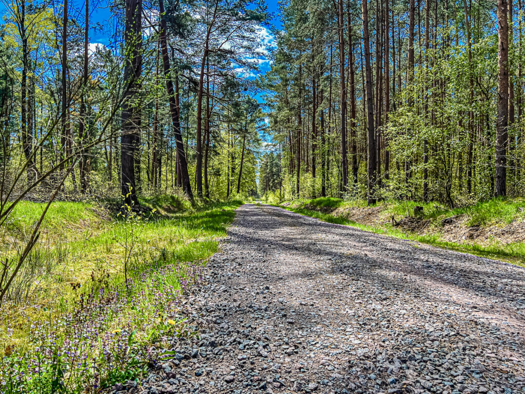 Waldweg