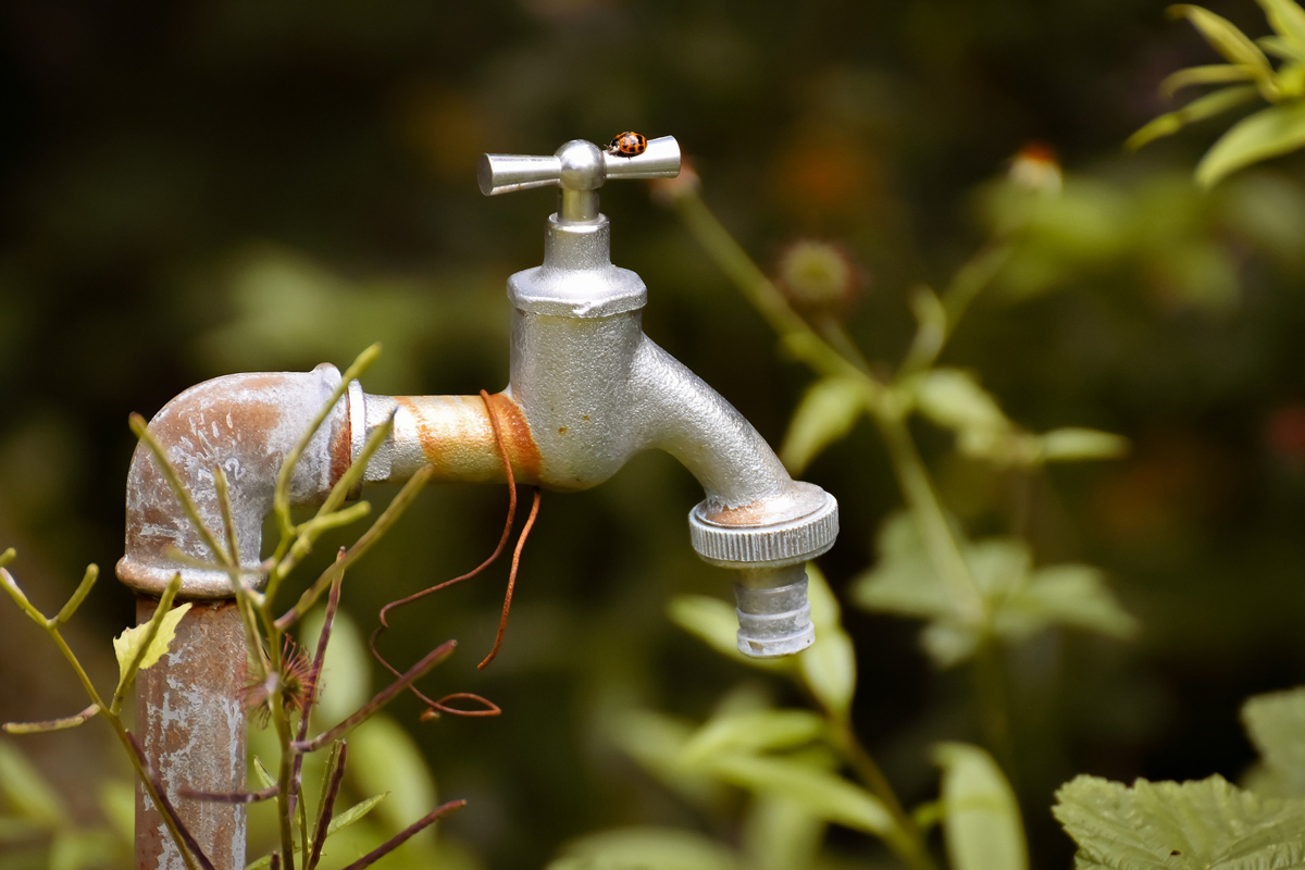 Wasserhahn