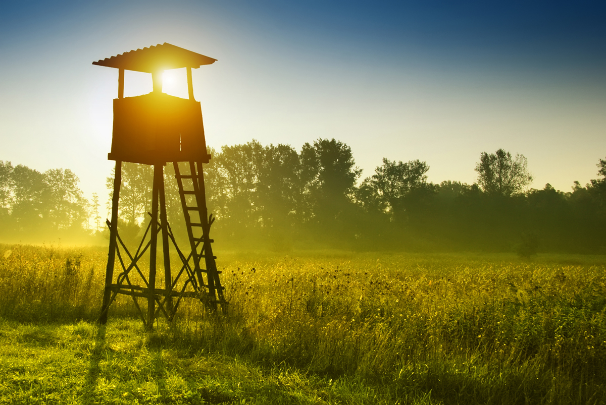 Aussichtsturm für die Jagd im Morgengrauen