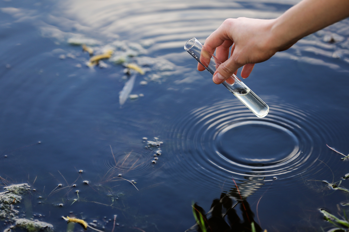 Eine Wasserprobe wird im Reagenzglas aus dem Gewässer entnommen.