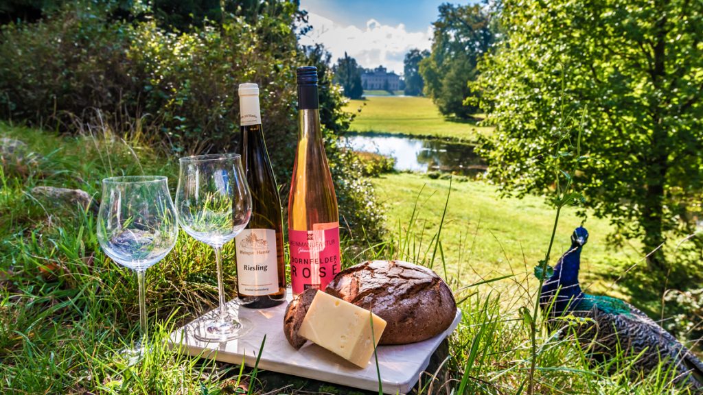 Picknick im Wörlitzer Park - Weingläser, Weinflaschen, Käse und Brot