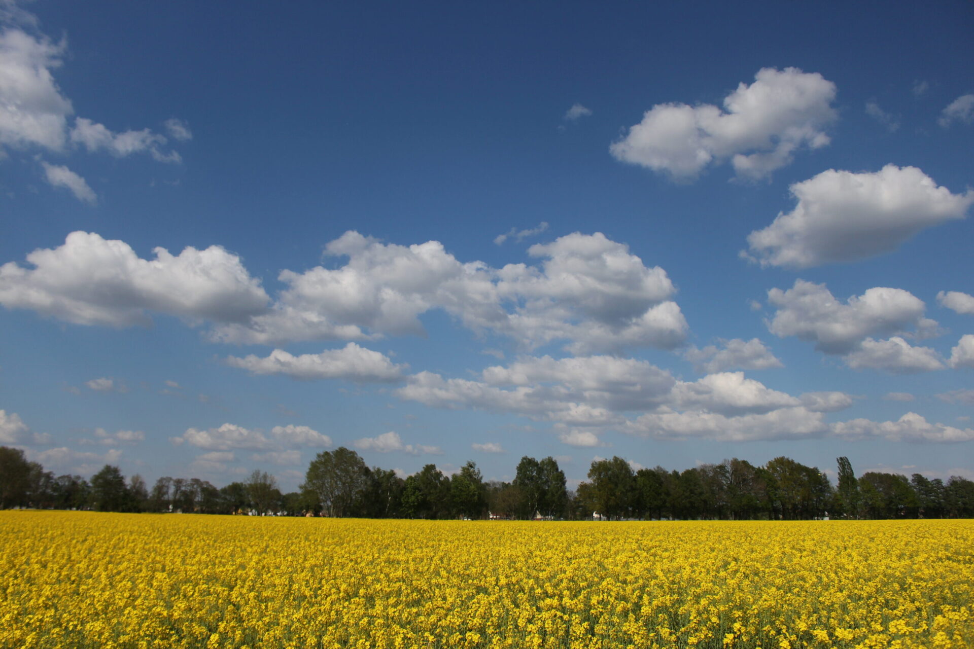 Wettbewerb „Unser Dorf hat Zukunft“