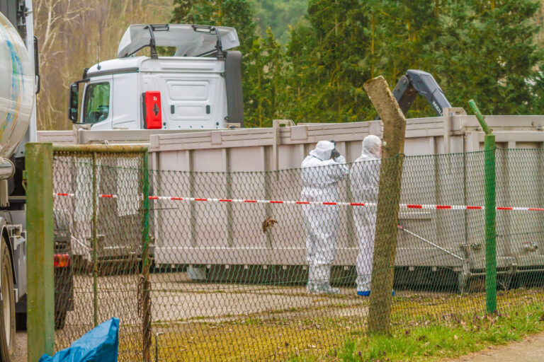 Nach Ausbruch der Geflügelpest: Wie geht es jetzt weiter?