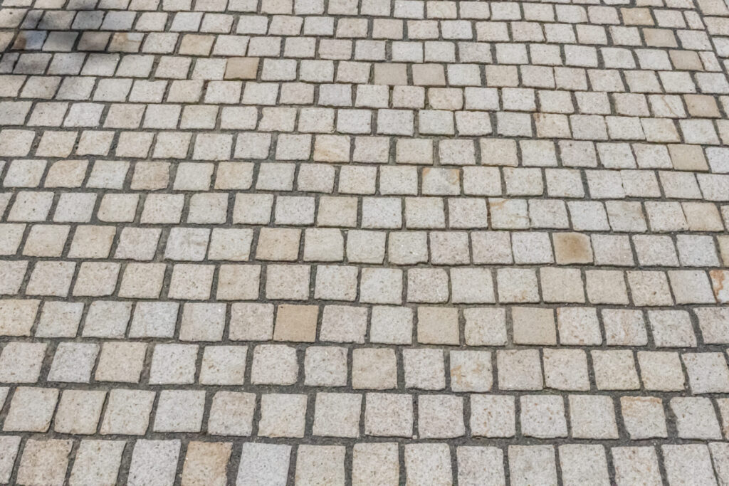 Landrat Christian Tylsch gab die Baustelle der Kreisstraße K2376 bei Wörlitz am Donnerstag, 19. Juni 2025, wieder für den Verkehr frei. Foto: Lara Nell