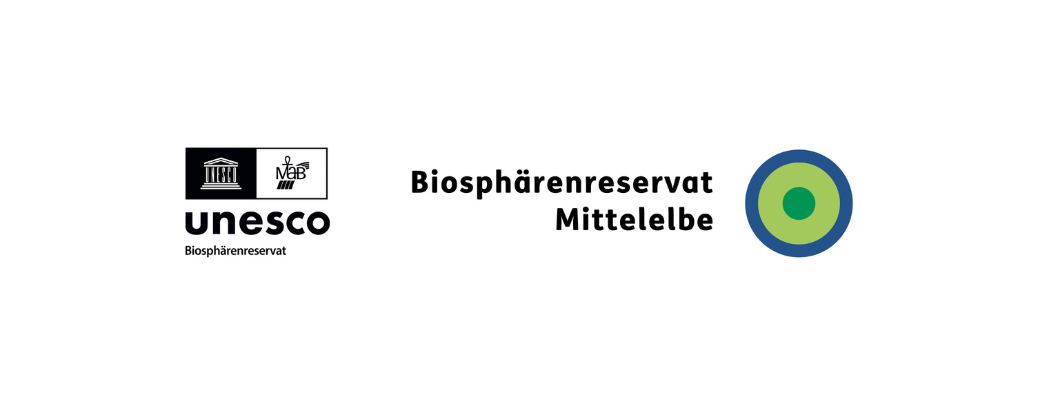 Design ohne Titel(17)
