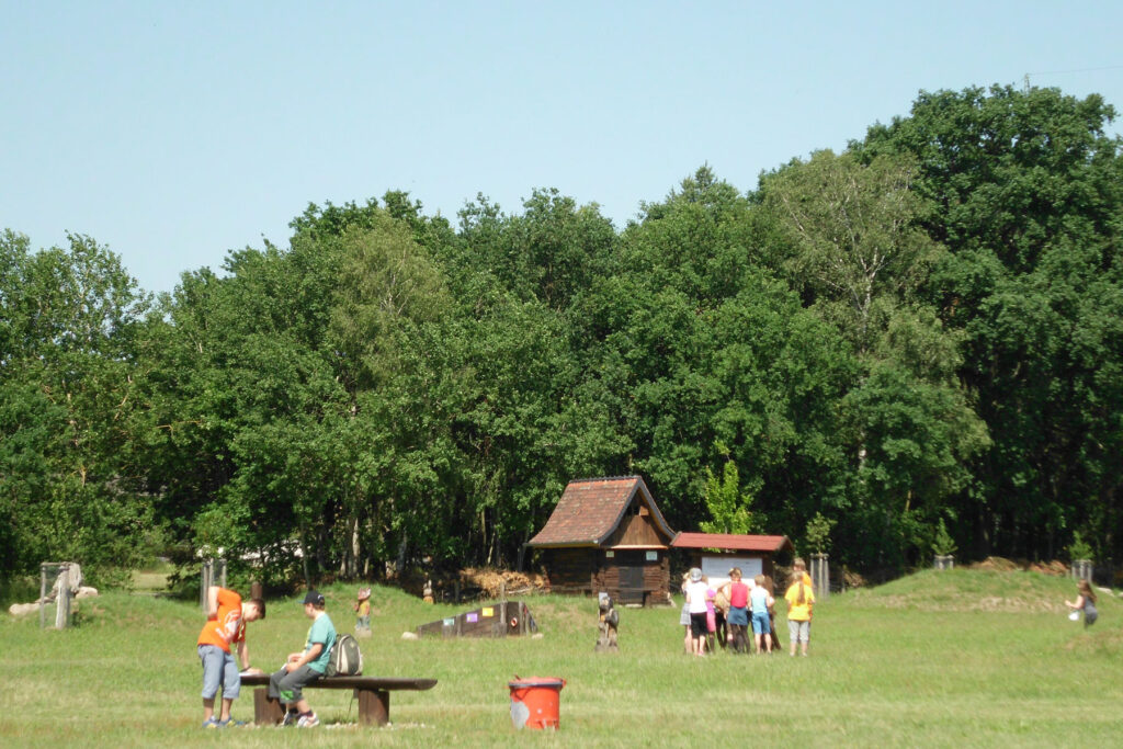 Kinder auf einer Wiese