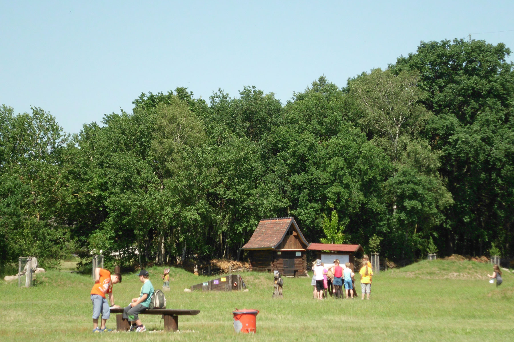 Kinder auf einer Wiese