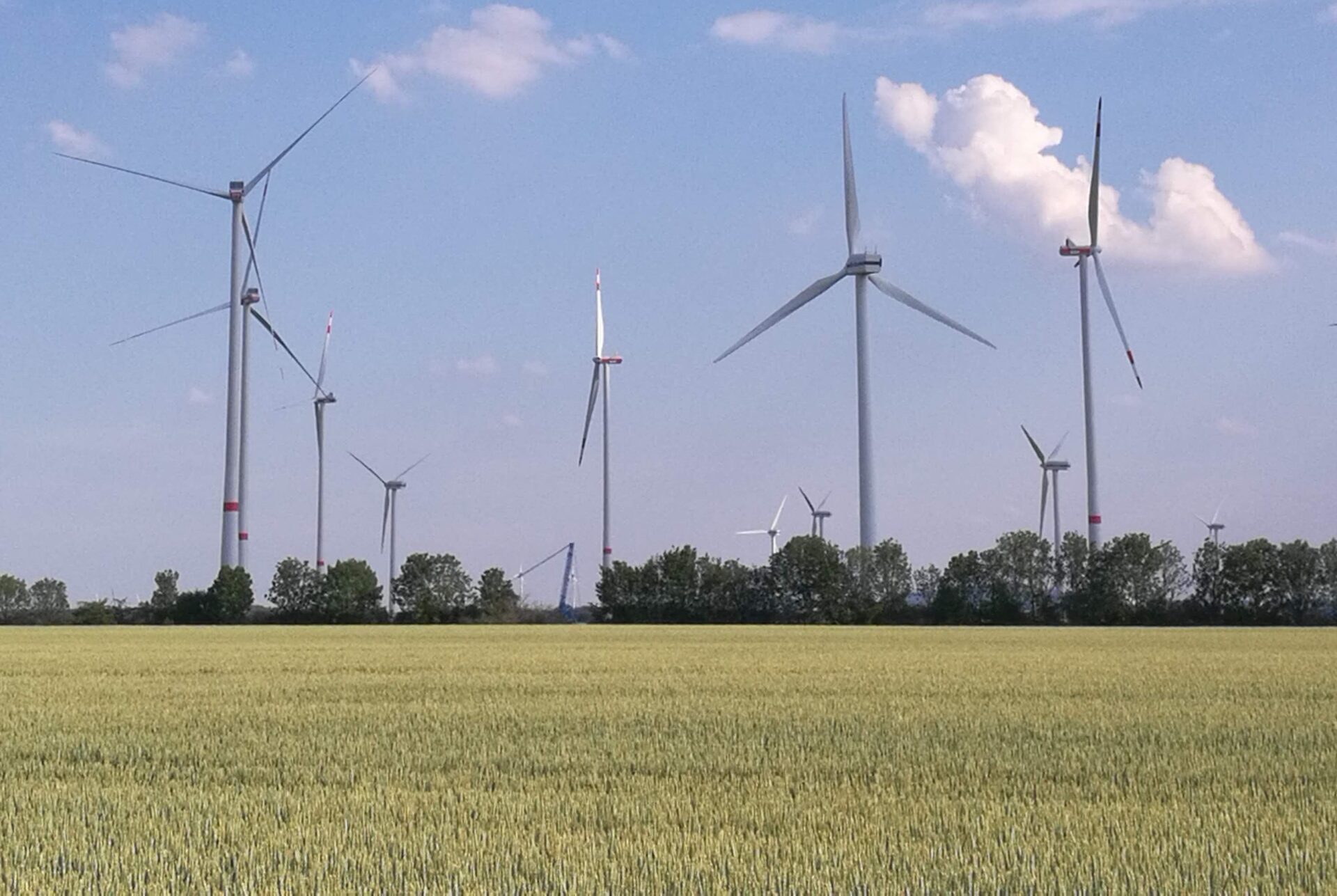 Windräder für Windenergie