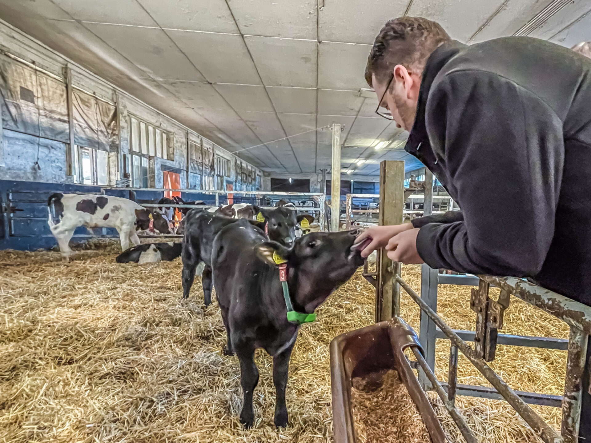 Firmenbesuch bei Agrofarm Flämingrand Zahna. Foto: Burrows