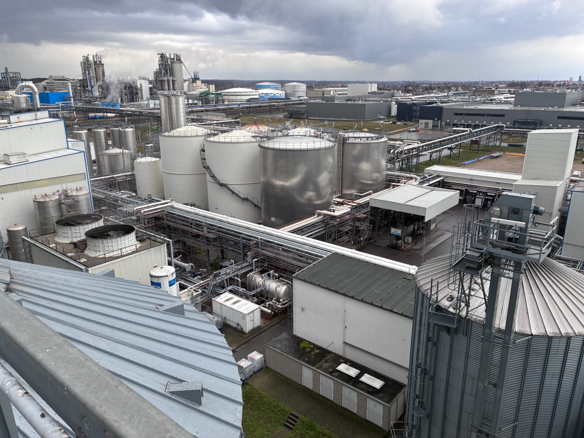 Beim Rundgang durch das Werk der Louis Dreyfus Company Wittenberg informierte sich Landrat Christian Tylsch über die Verarbeitung von Rapssaat sowie über Produktion und Investitionen am Standort der Louis Dreyfus Company in der Lutherstadt Wittenberg.