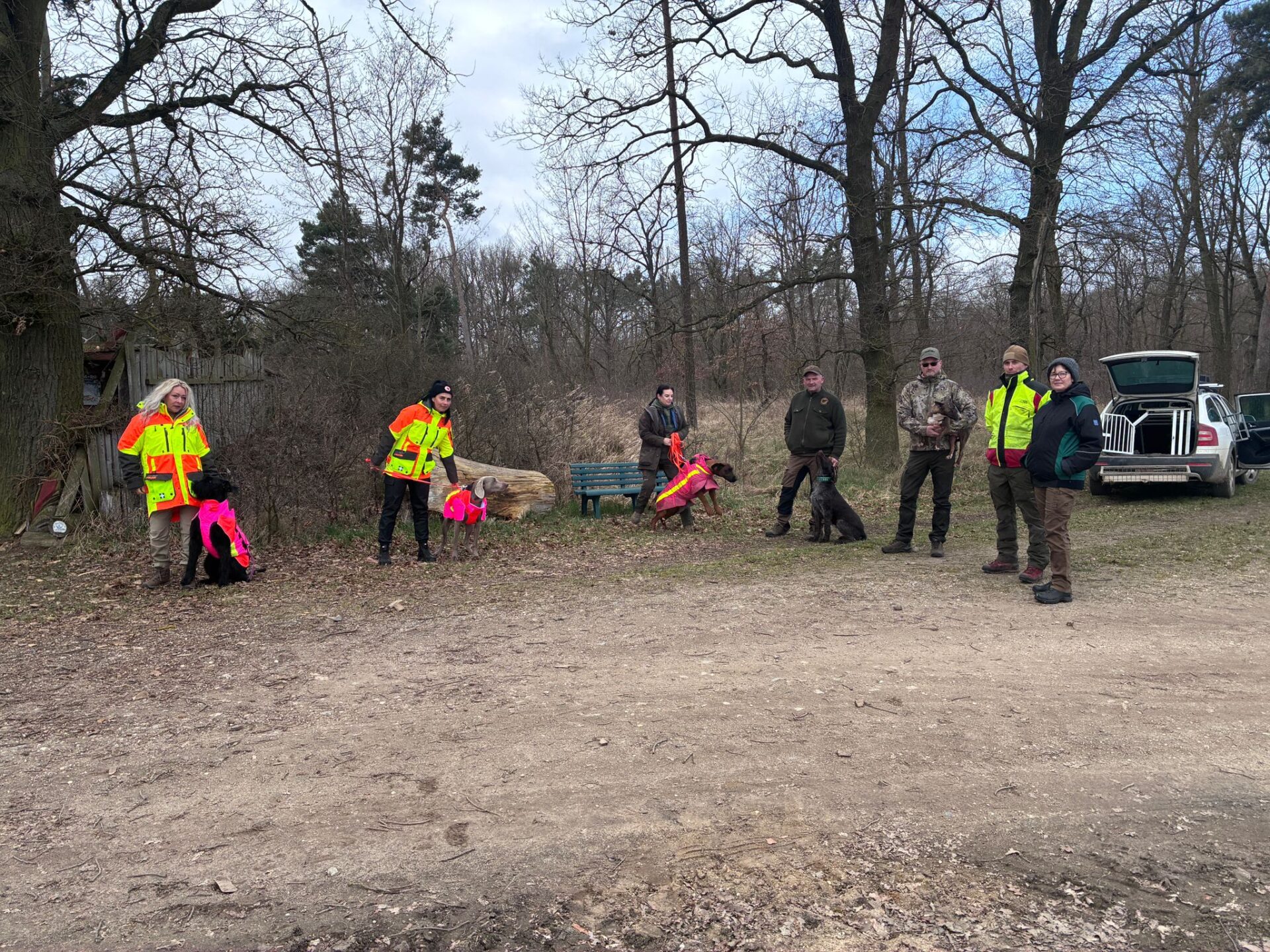 Kadaverspürhunde trainierten bei Selbitz den Ernstfall: Ausbruch der Afrikanischen Schweinepest.