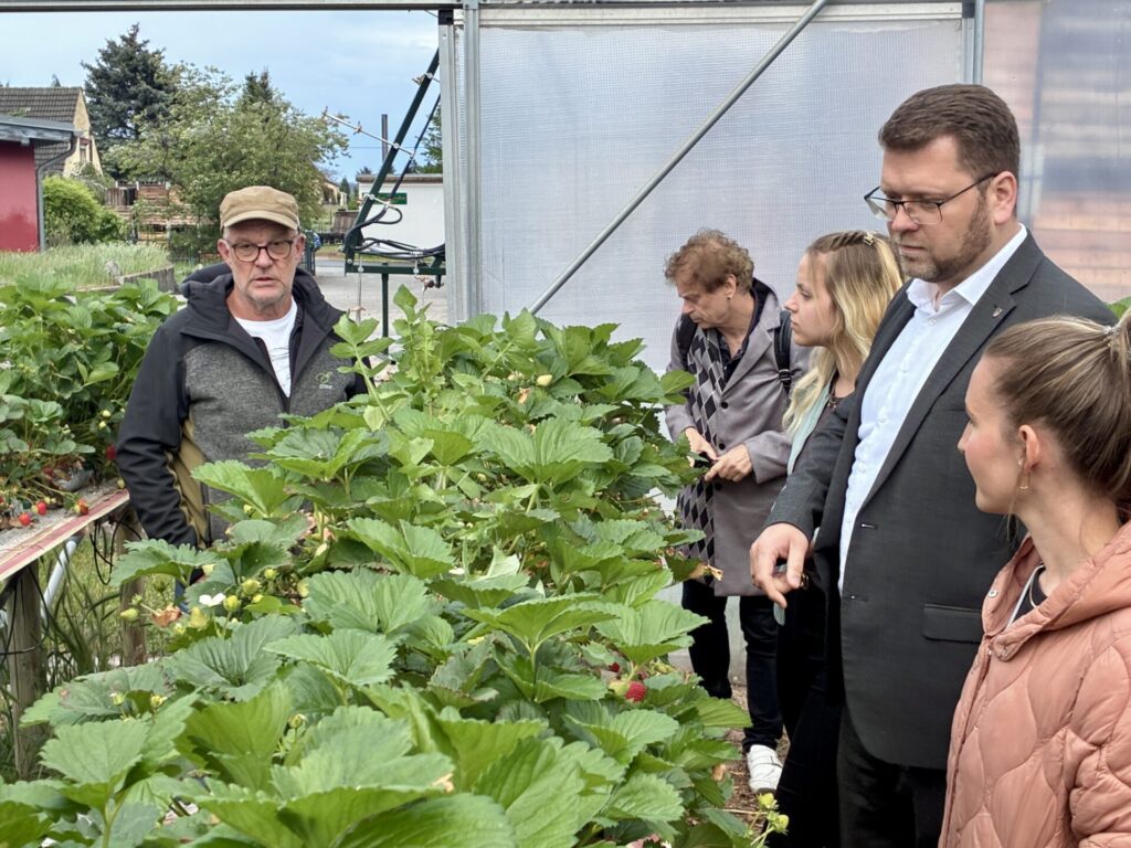 Firmenbesuch Landrat Christian Tylsch beim Obsthof Zwicker in Jessen