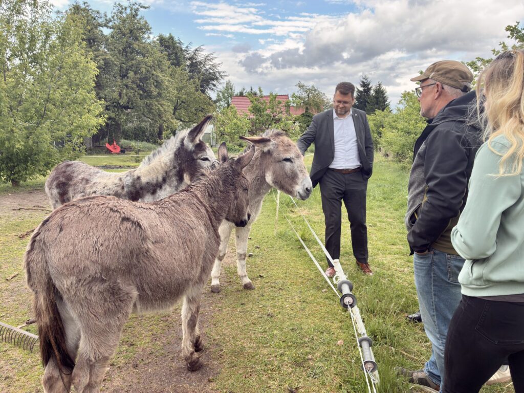 Firmenbesuch Landrat Christian Tylsch beim Obsthof Zwicker in Jessen