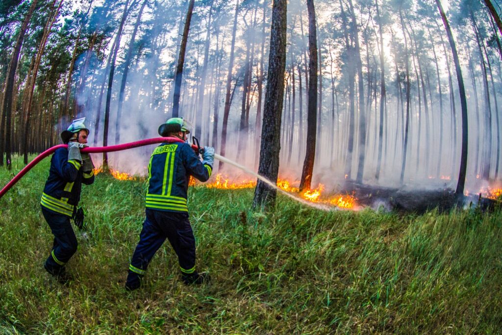 Für alle Waldbrandgefahrenregionen des Landkreises Wittenberg gilt derzeit eine hohe Waldbrandgefahr.