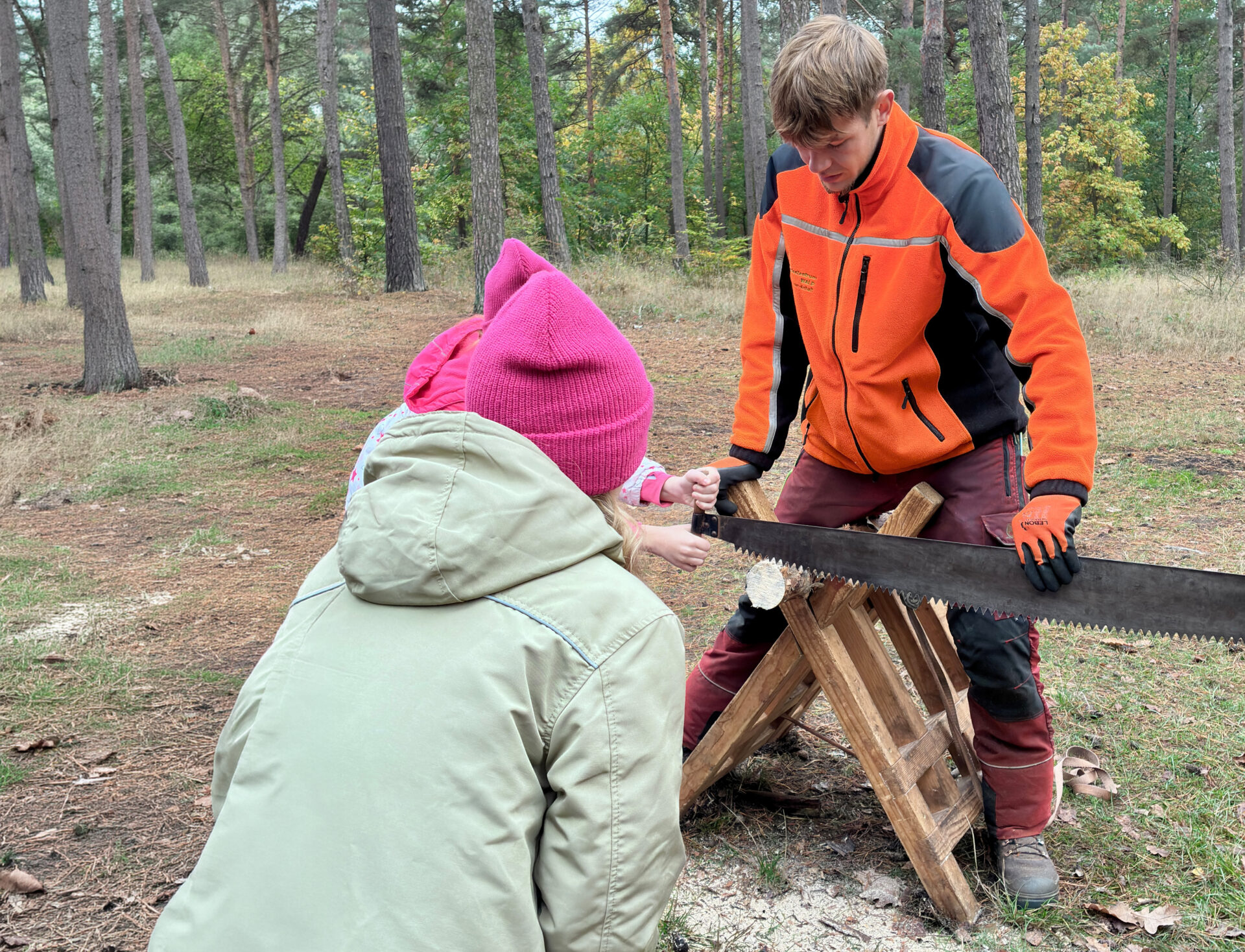 Junge in orange-schwarzer Jacke sägt mit Handschuhen an einem Holzscheit auf einer Sägebock-Holzunterlage im Wald, daneben steht eine Person mit rosa Mütze und heller Jacke