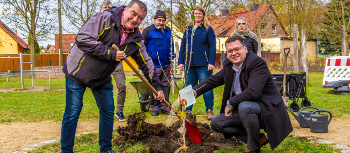 Landrat Christian Tylsch pflanzte einen Apfelbaum an der Grundschule Radis.
