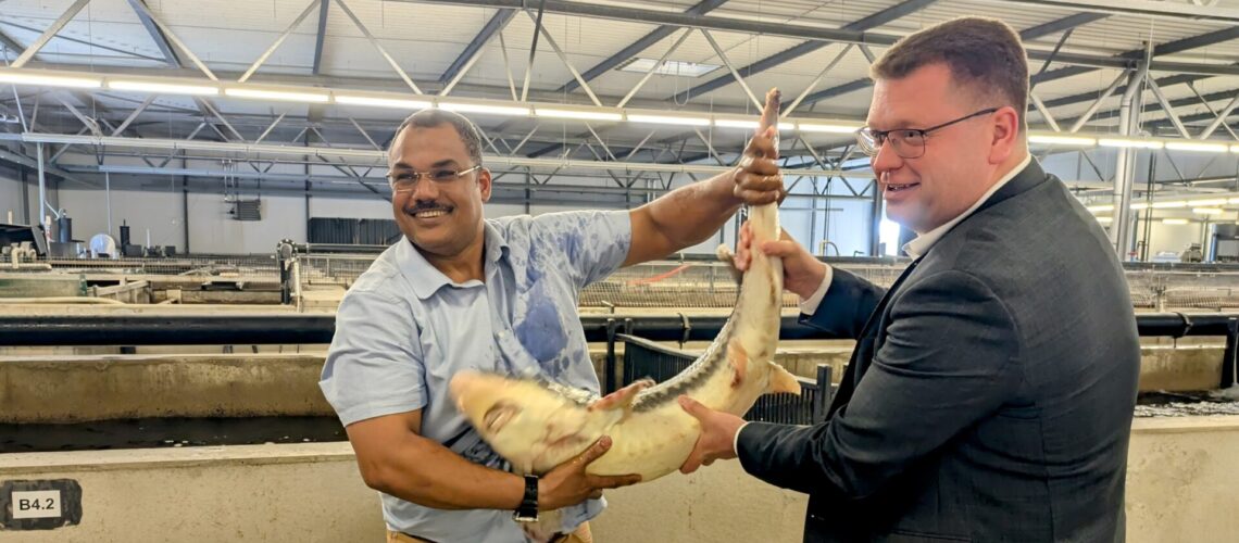 Firmenbesuch bei Attilus
