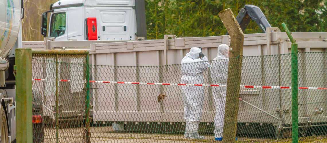 Im betroffenen Betrieb in Gaditz, in dem der Ausbruch der Geflügelpest festgestellt wurde, wurden am Sonnabend rund 30.000 Tiere getötet.