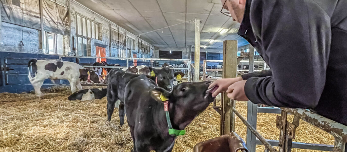 Firmenbesuch bei Agrofarm Flämingrand Zahna. Foto: Burrows