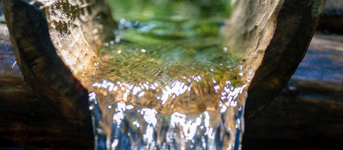 Wasserquelle im Wald