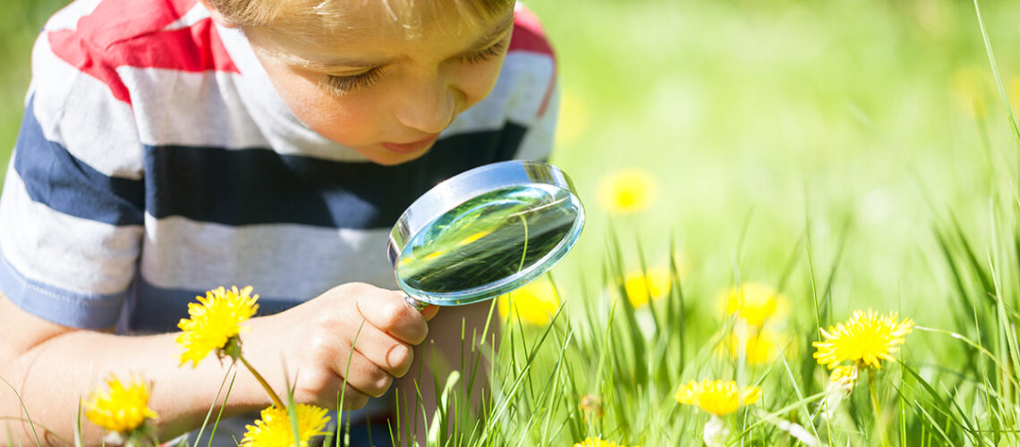 Kind erforscht die Natur