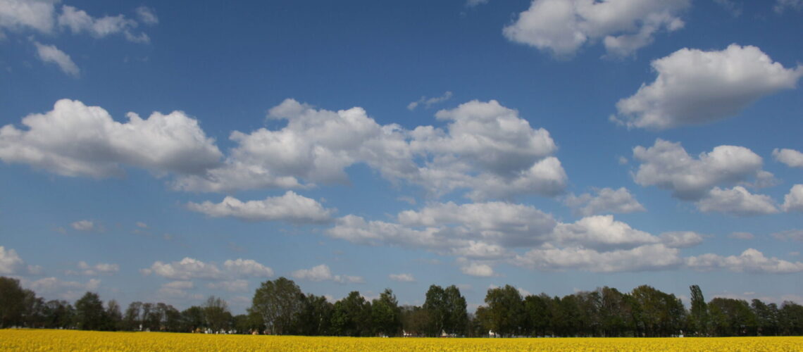 Dorfwettbewerb_Rapsfeld_Rothemark