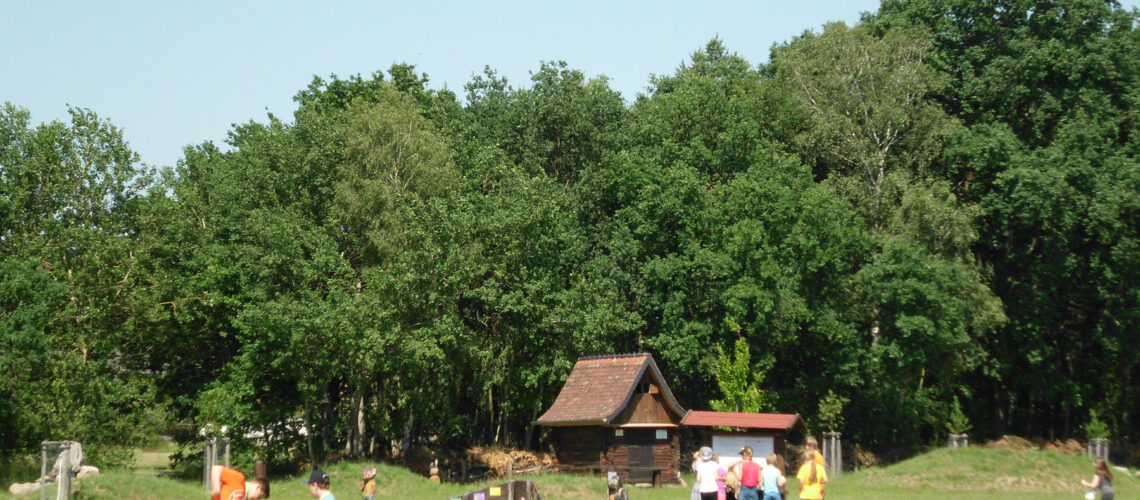 Kinder auf einer Wiese