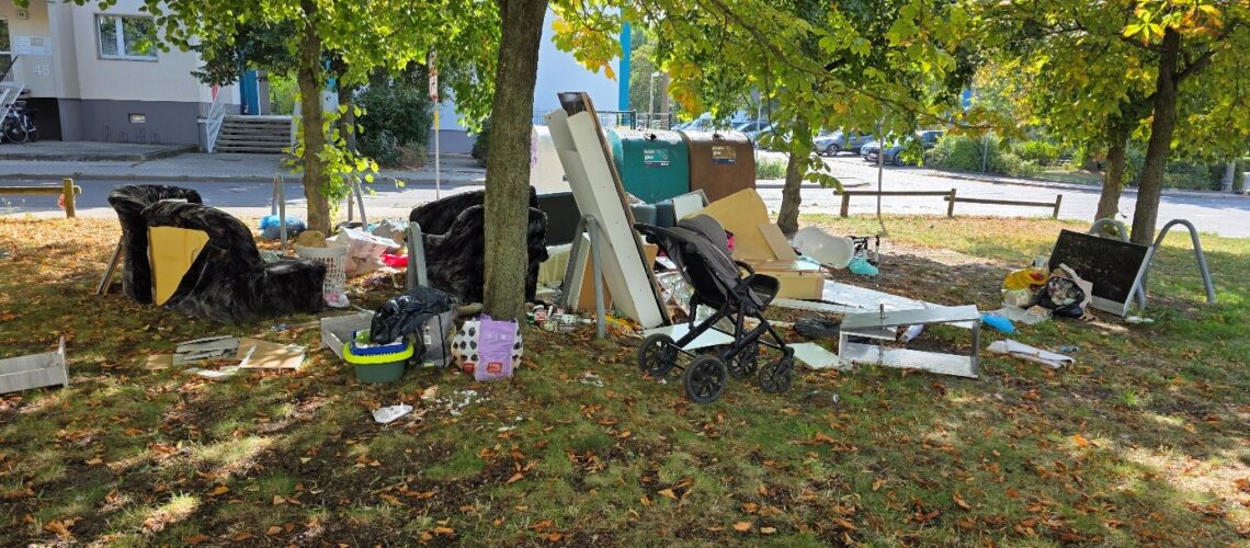 Wilde, illegale Müll mit Möbelteilen, Kinderwagen und Kartons unter Bäumen auf einer Wiese neben einem Gehweg