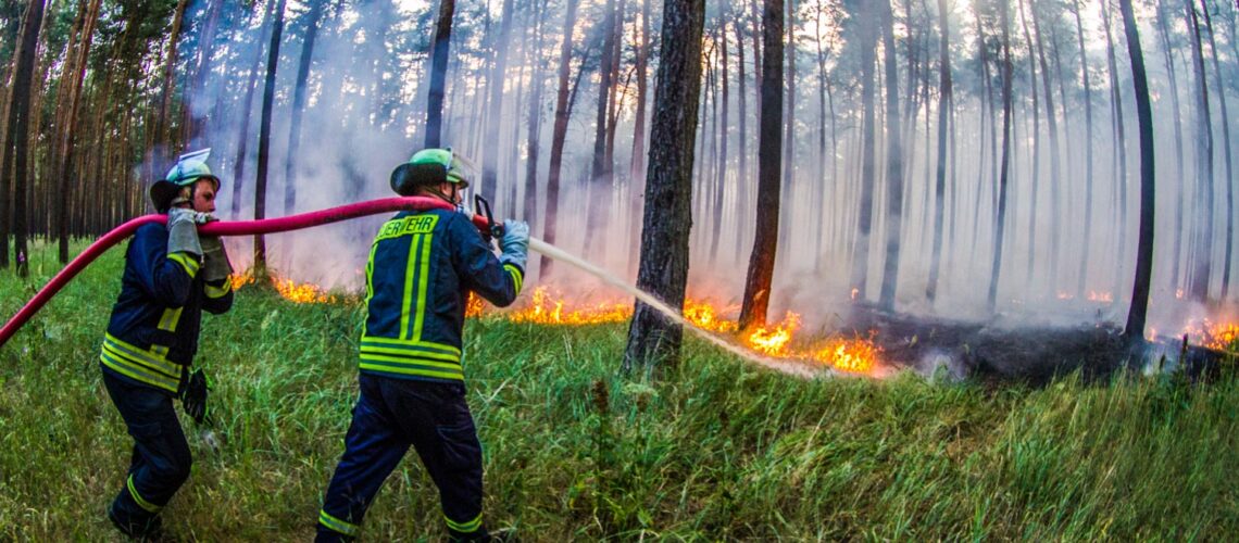 Für alle Waldbrandgefahrenregionen des Landkreises Wittenberg gilt derzeit eine hohe Waldbrandgefahr.