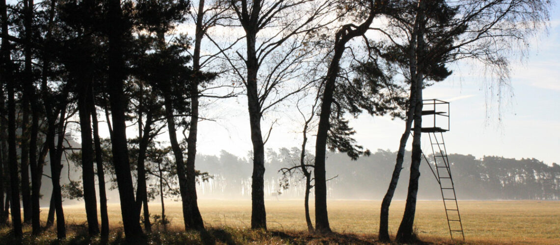 Jagdstand am Waldrand zur frühen Morgenstunde
