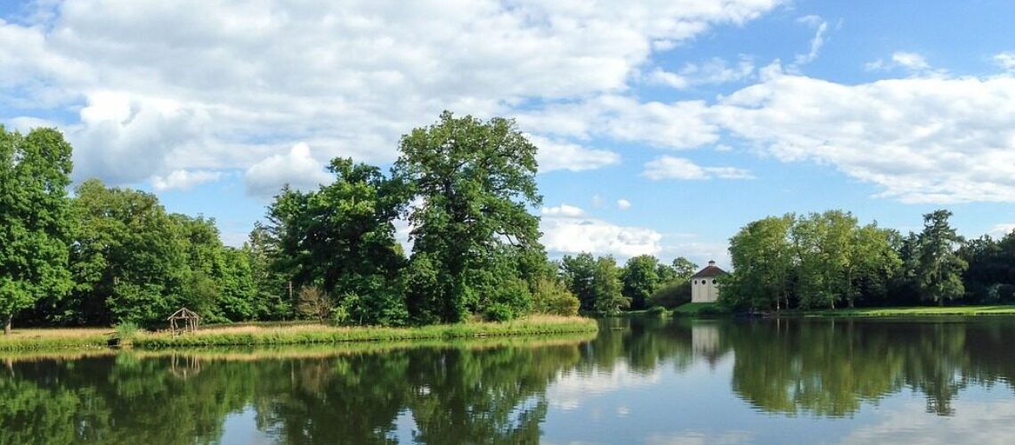 Wasser imVordergrund, Wörlitz mit Blick auf die Synagoge im Hintergrund
