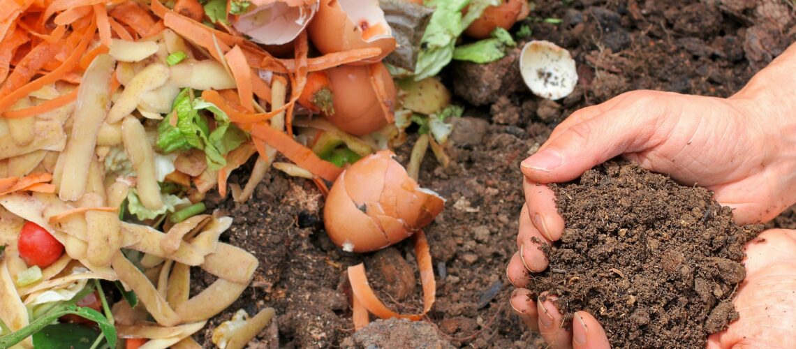 Kompostierbarer Abfall und Erde in zwei Händen