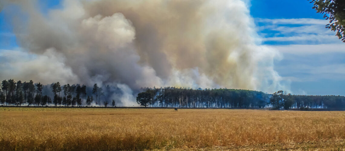 Waldbrand